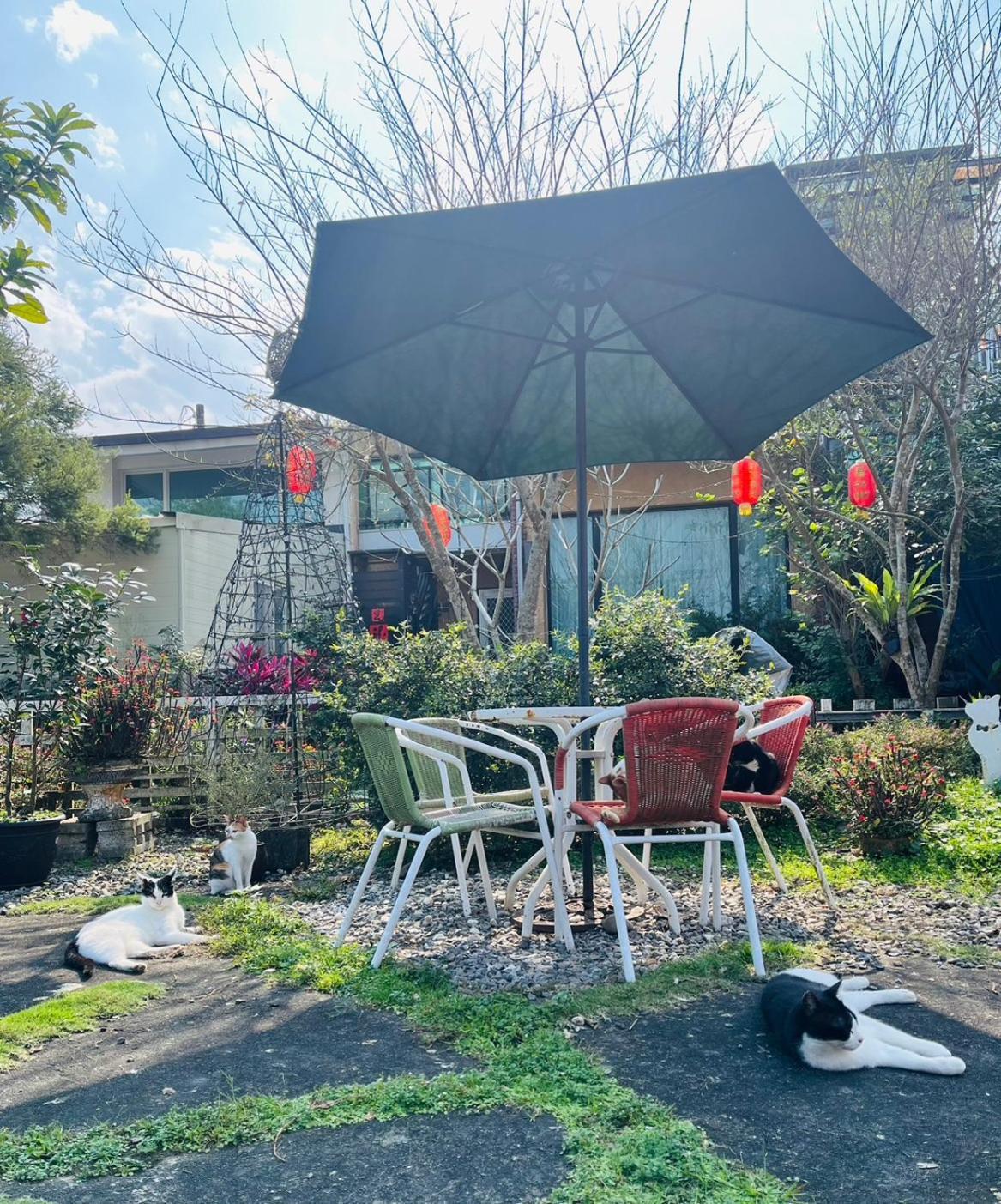 Cat Sky Country Homestay Sanxing Exterior photo